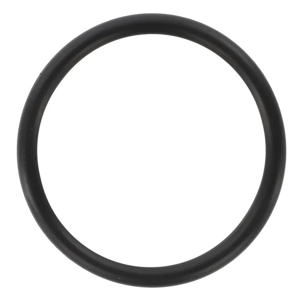 AGCO | O Ring - 1749440M1
