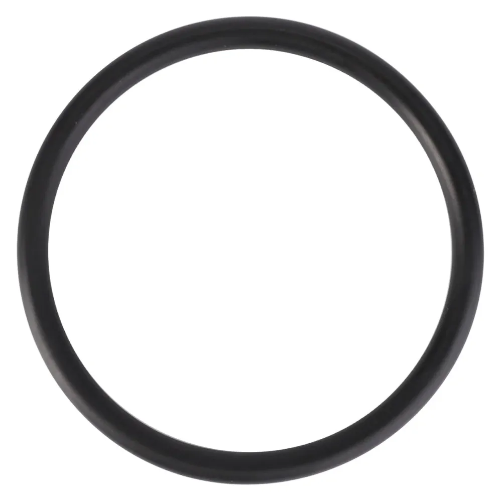 AGCO | O Ring - 3010101X1