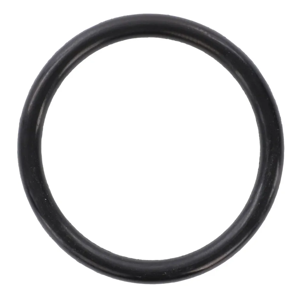 AGCO | O Ring - 4232007M1