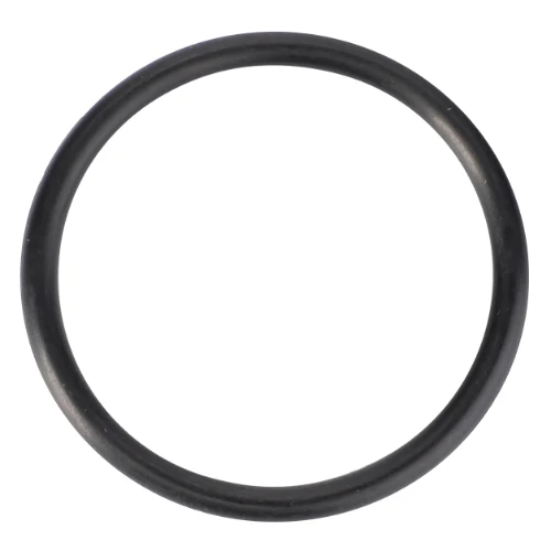 Massey Ferguson - O Ring - 70923568 AGCO