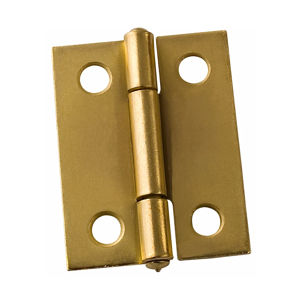 BISAGRA L55 BRDO. C/T DP 2 U - LIOI