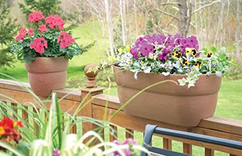RIEL PLNTR RESINA MARRÓN 24" Bloomers