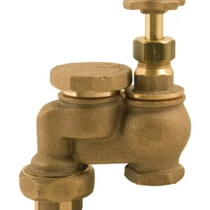Válvula antisifón ajustable Champion Brass de 150 PSI con entrada de 1 pulg. - Oferta de la semana