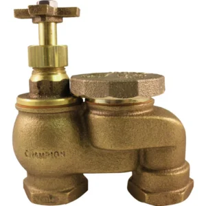 Válvula antisifón Champion de 3/4 pulg. y 150 psi - Oferta de la semana