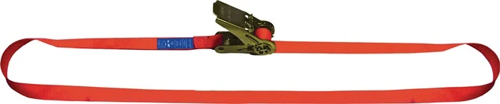 DOLEZYCH Correa de amarre DIN EN 12195-2 Longitud 4 m Anchura 25 mm ( 4000365001 )