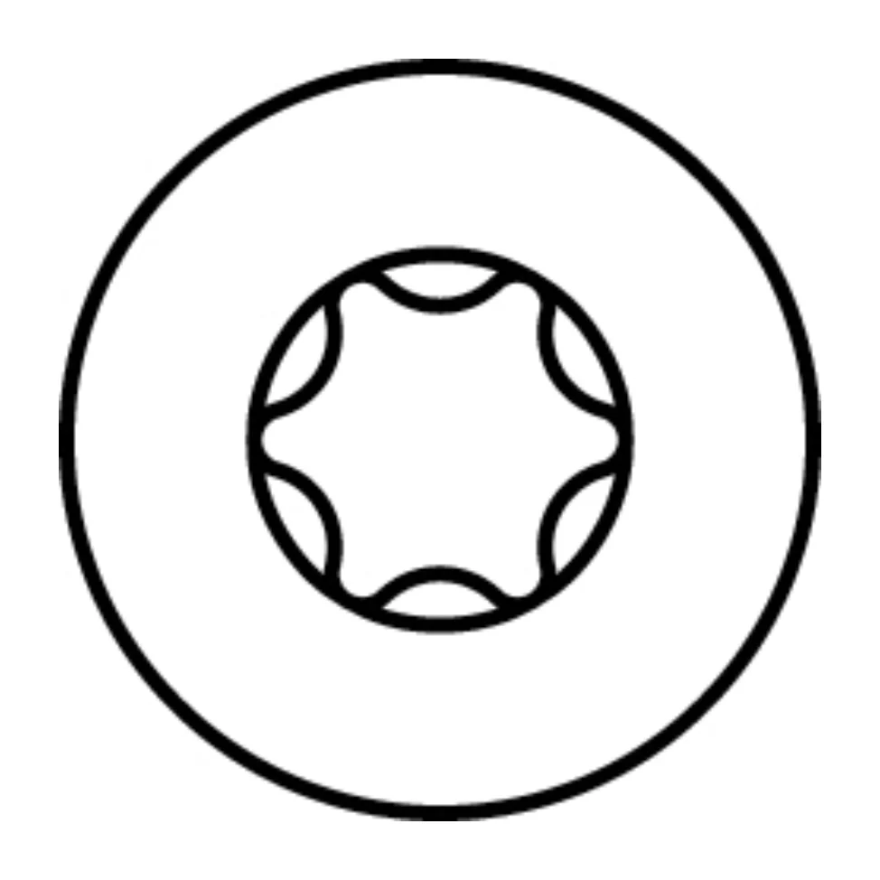HECO TOPIX plus tornillo para madera profesional 6,0 x 160 mm 100 piezas (61167) tornillo para madera con rosca parcial, c...