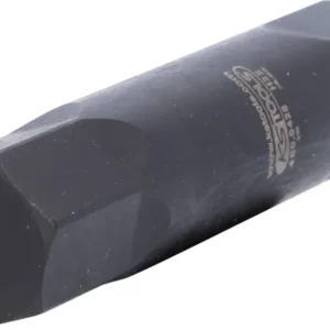 KS TOOLS Inserto de puntas de impacto para tornillos con encastre hexagonal L=107 mm, 22 mm ( 450.0425 )