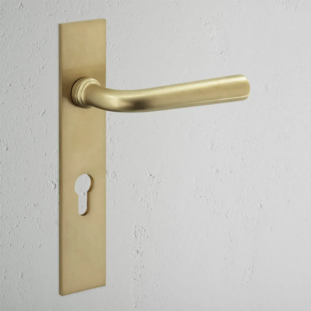 Manilla para puertas Apsley con placa larga (con muelle) y cerradura europea - Latón antiguo