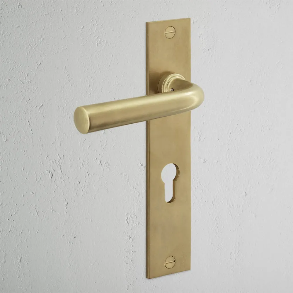 Manilla para puertas Apsley con placa larga (con muelle) y cerradura europea - Latón antiguo