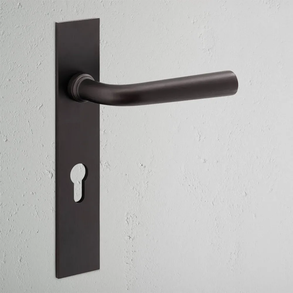 Manilla para puertas Apsley con placa larga (con muelle) y cerradura europea - Bronce