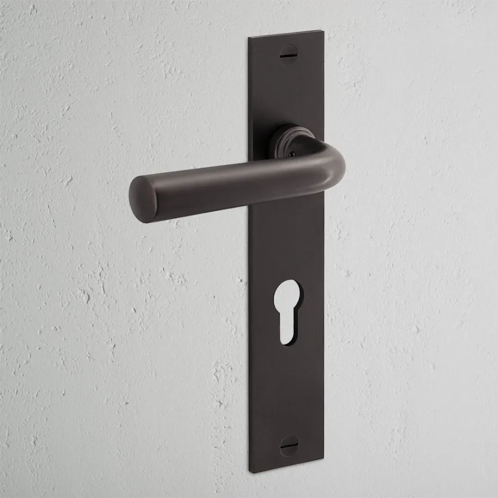 Manilla para puertas Apsley con placa larga (con muelle) y cerradura europea - Bronce