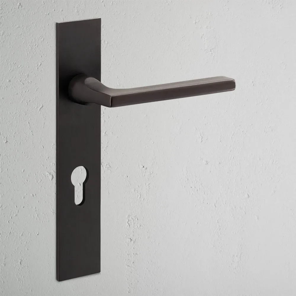 Manilla para puertas Clayton con placa larga (con muelle) y cerradura europea - Bronce