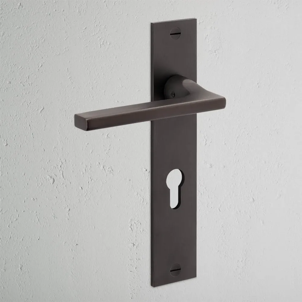 Manilla para puertas Clayton con placa larga (con muelle) y cerradura europea - Bronce
