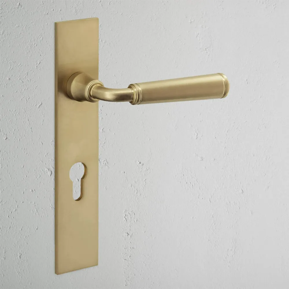 Manilla para puertas Digby con placa larga (con muelle) y cerradura europea - Latón antiguo