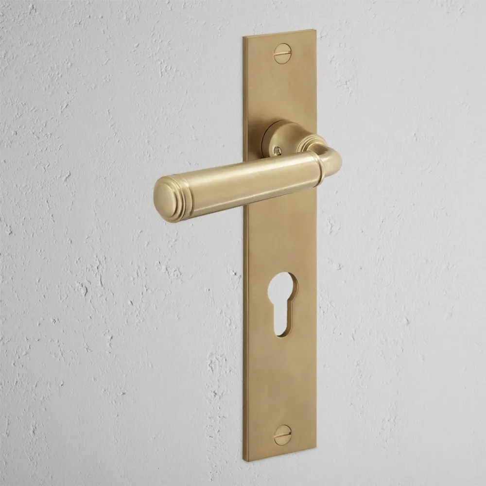 Manilla para puertas Digby con placa larga (con muelle) y cerradura europea - Latón antiguo
