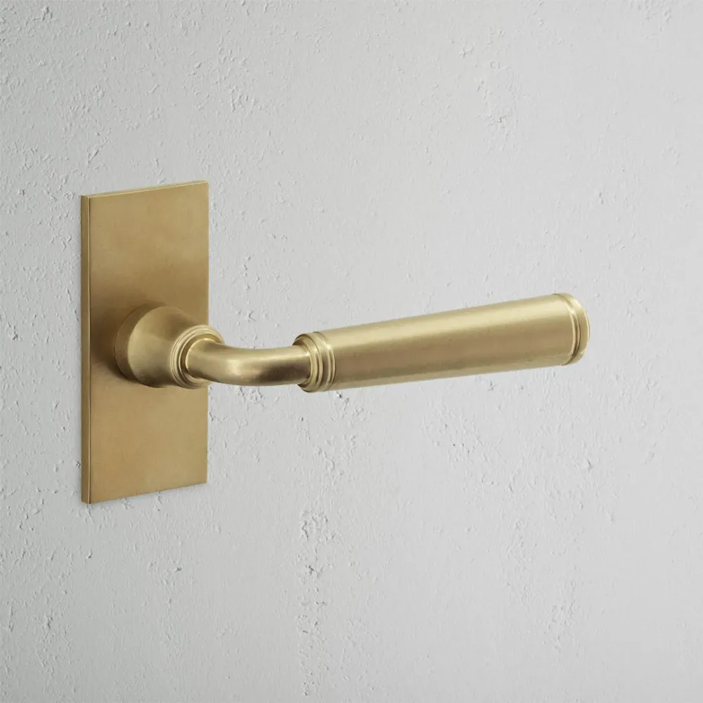 Manilla para puertas Digby con placa corta (con muelle) - Latón antiguo