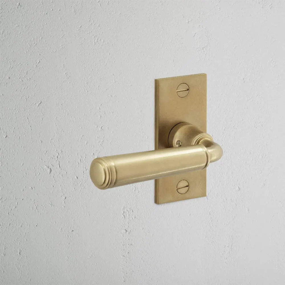 Manilla para puertas Digby con placa corta (con muelle) - Latón antiguo
