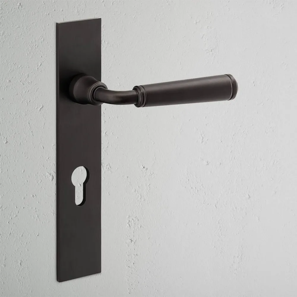 Manilla para puertas Digby con placa larga (con muelle) y cerradura europea - Bronce