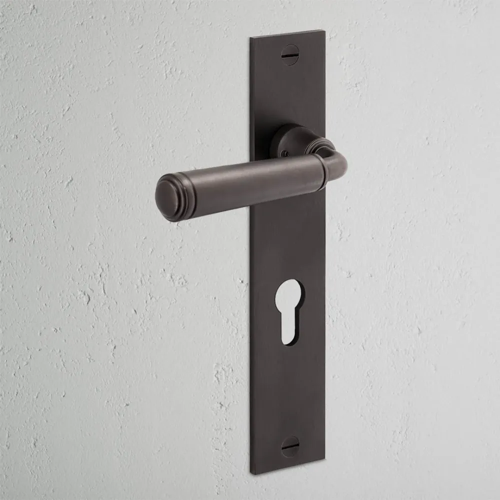 Manilla para puertas Digby con placa larga (con muelle) y cerradura europea - Bronce
