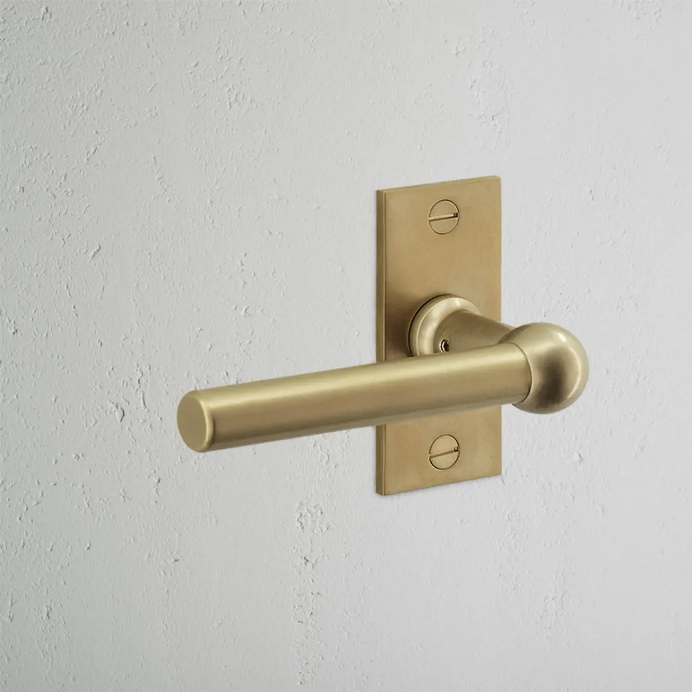 Manilla para puertas Harper con placa corta (con muelle) - Latón antiguo