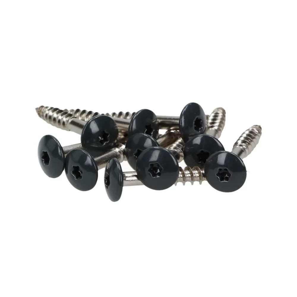 Tornillos para fachada Meisterling 5,5x45 mm 100 piezas (010030000321) 12 mm cabeza plana antracita con rosca parcial Torx...