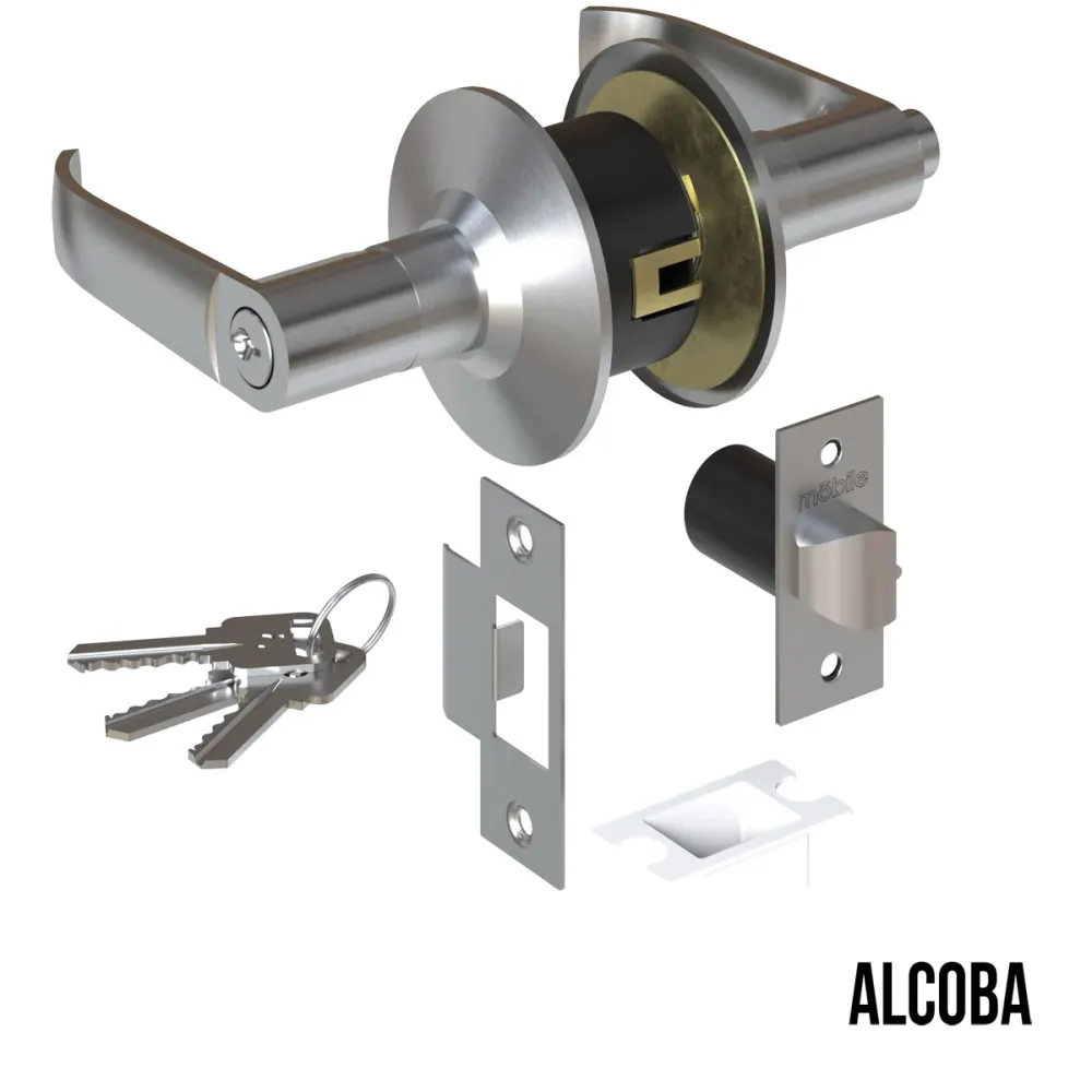 Cerradura chapa palanca estándar cilíndrica para puerta de paso Satinado Mobile