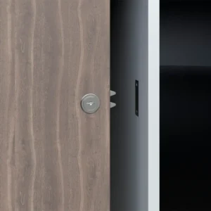 Cerradura para mueble doble. pico de loro Mobile