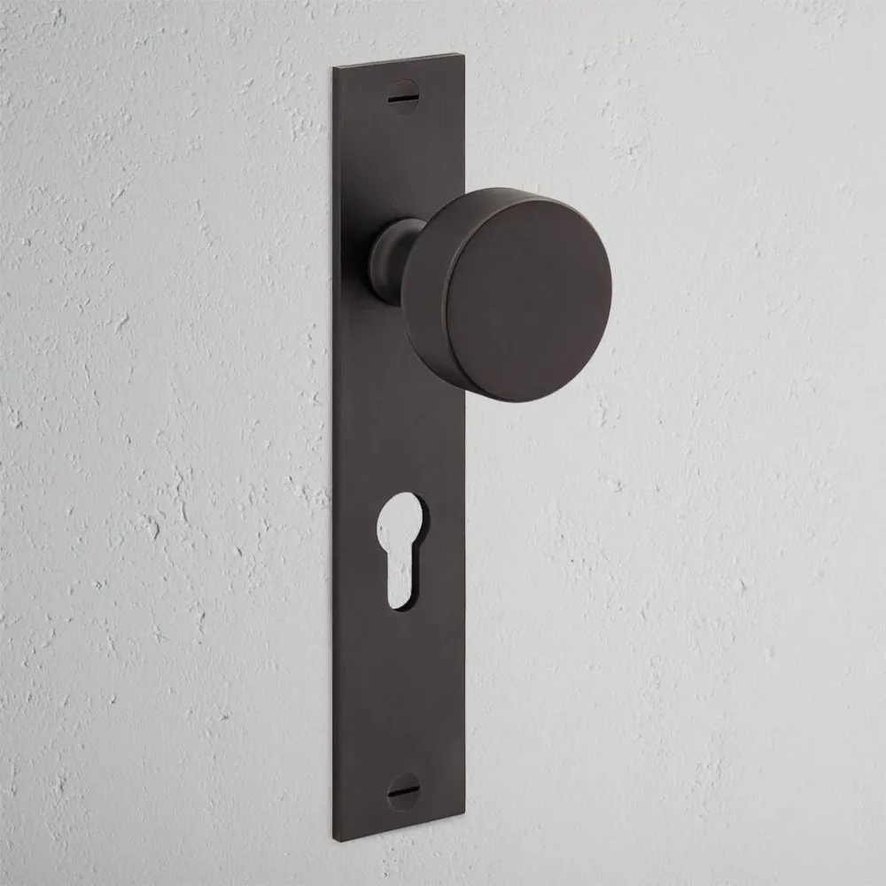 Pomo para puertas Onslow con placa larga (con muelle) y cerradura europea - Bronce