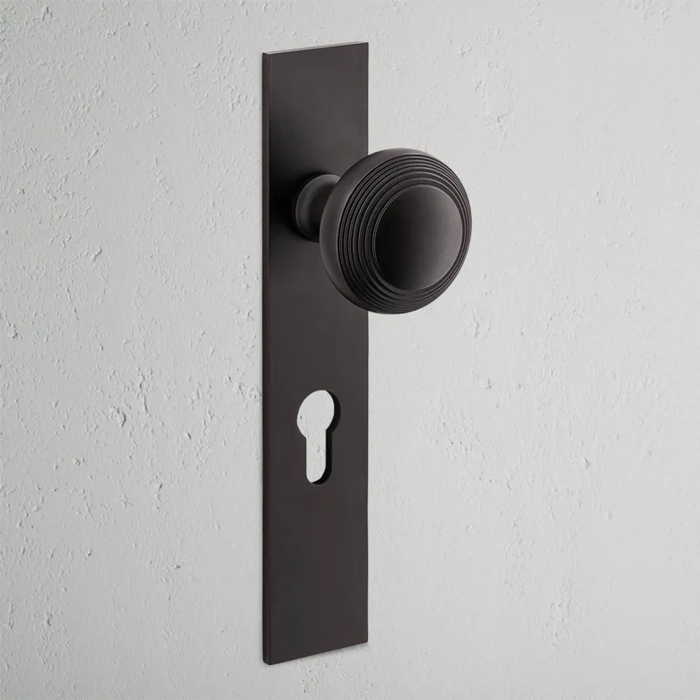 Pomo para puertas Poplar con placa larga (con muelle) y cerradura europea - Bronce