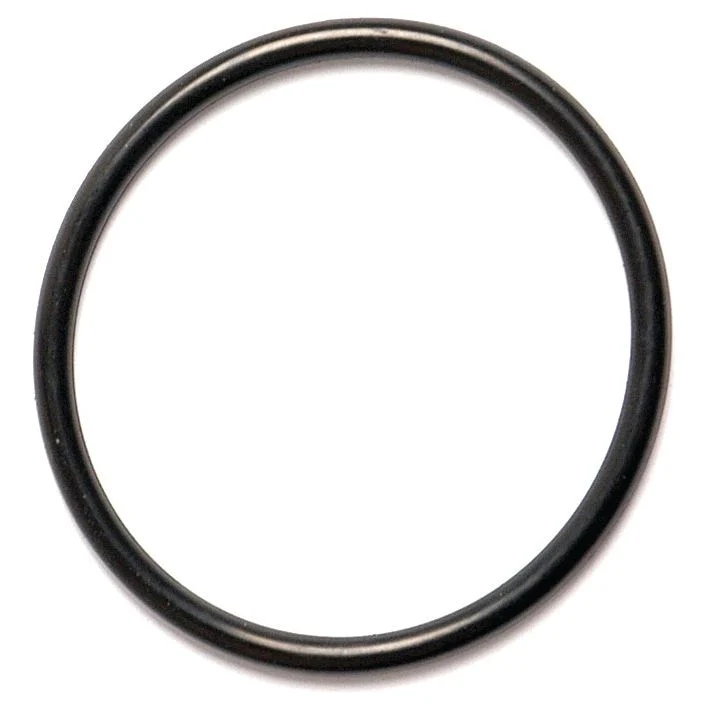 O Ring 1/8'' x 1 15/16'' (BS830) 70 Shore | Sparex Part No.S.10389