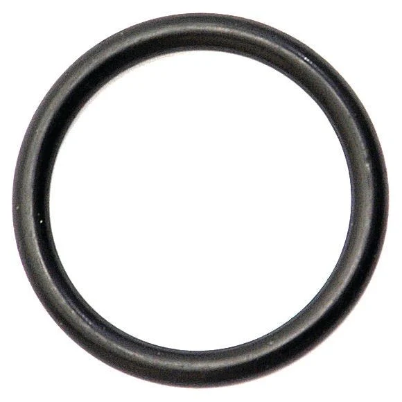 O Ring 4 x 31mm 70 Shore | Sparex Part No.S.42299