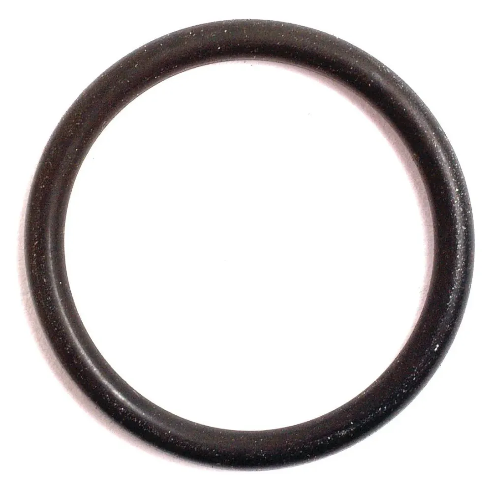 O Ring - S.8969 Sparex
