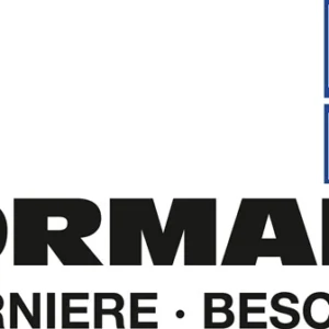 Bisagra Vormann 10503 ( 3000272313 ) Altura 60 mm Anchura 60 mm laminada, cuadrada