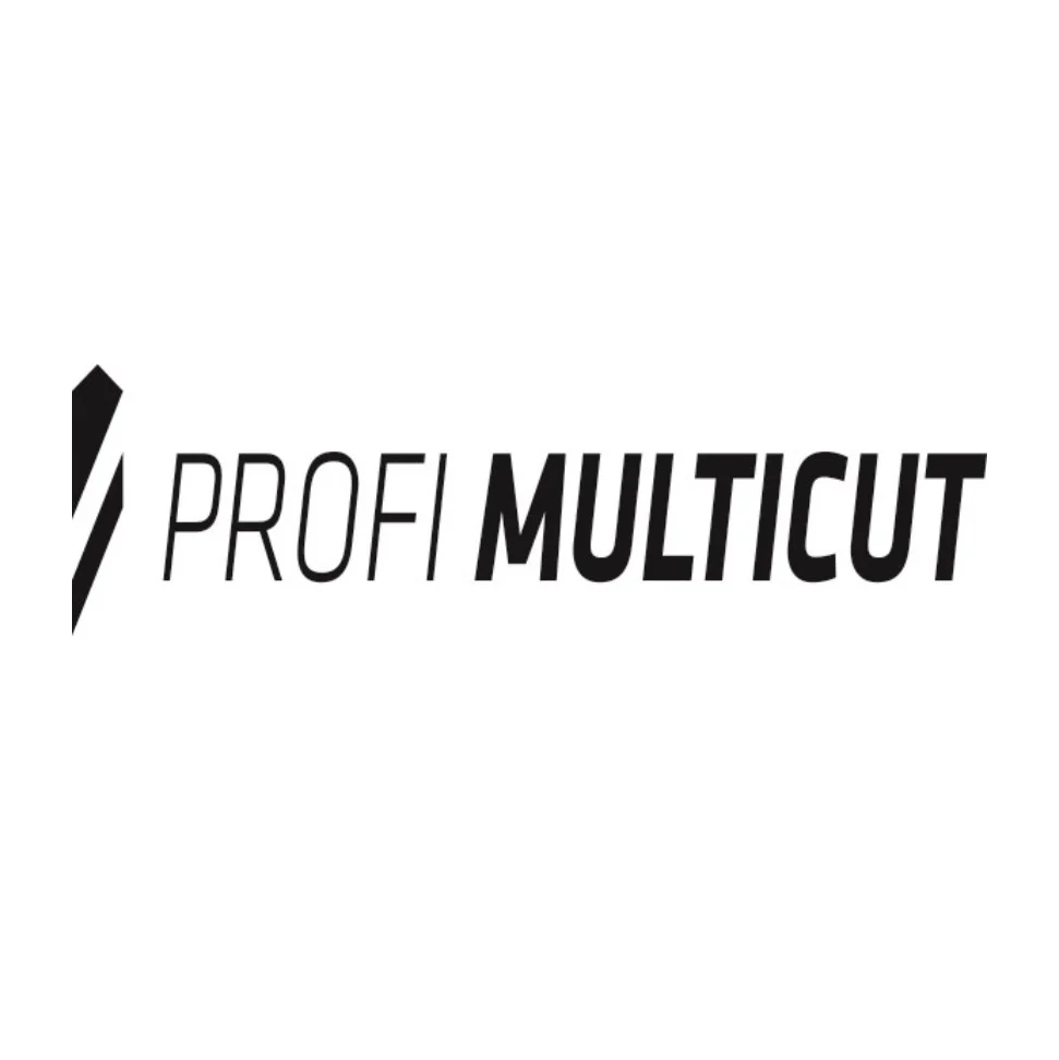 Alpen Profi Multicut SPM Juego de brocas multiusos de carburo de 5 piezas 5 - 10 mm Certificación SDS Plus PGM