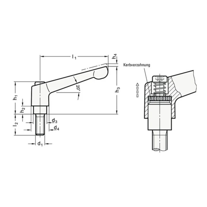 GANTER Palanca de sujeción ajustable GN 300 d1 M 8 mm ( 4601000572 )