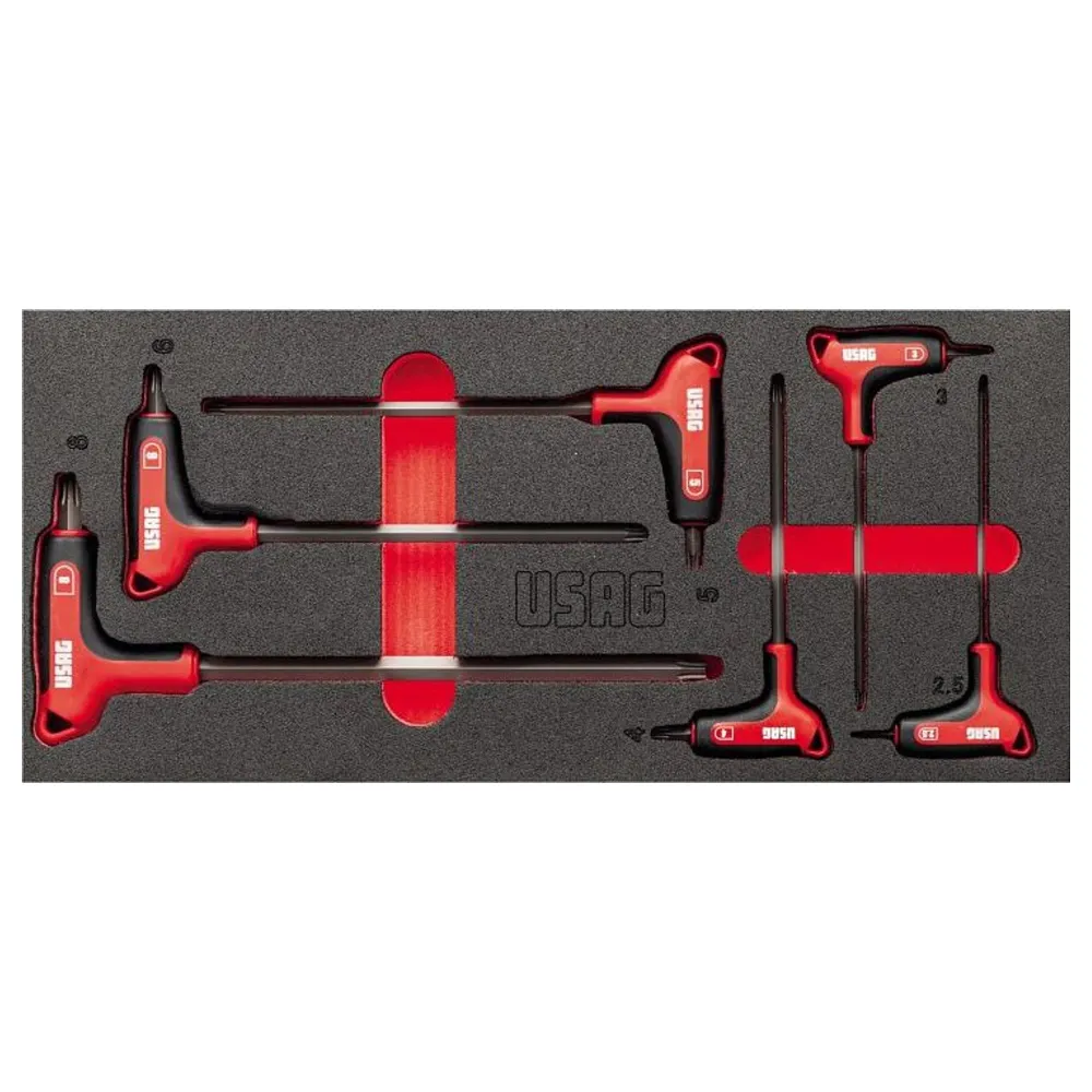Módulo de esponja bicolor USAG 519 M 280HX con llaves hexagonales